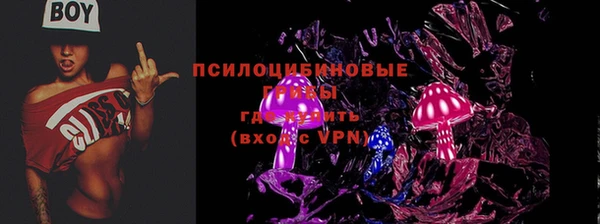 ECSTASY Володарск
